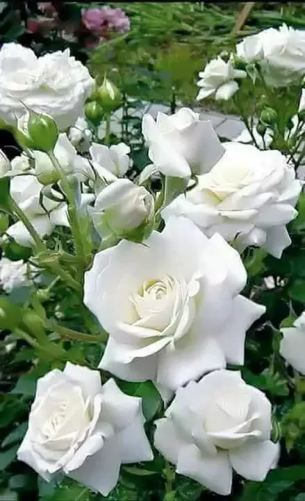 IMG 20220215 202054.webp