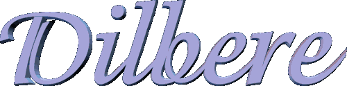 dilbere2.gif
