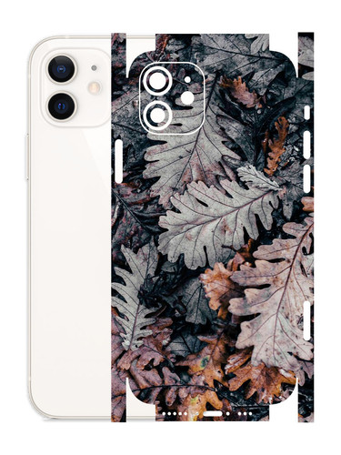 iPhone 12 DryLeaves.jpg