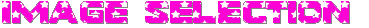 IMAGE SELECTION (1).gif