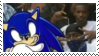 IMG 8393.png