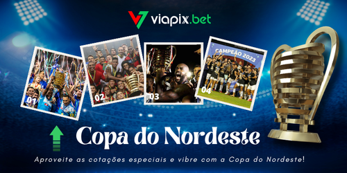 BANNER MOBILE VIAPIX (42).png