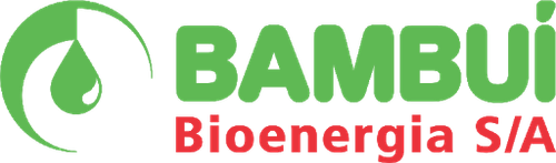BAMBUI.png