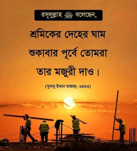 received 2887064678102137.jpg