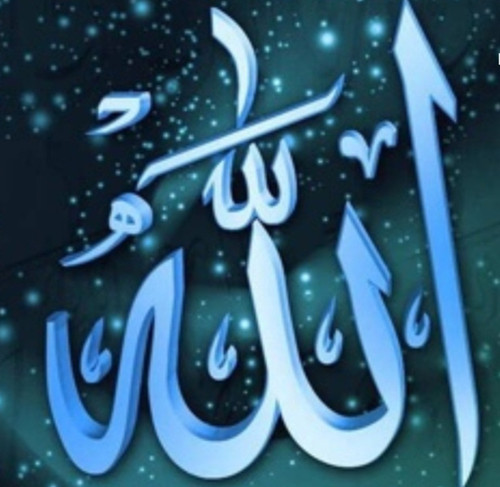 Screenshot 20240106 174743 TikTok.jpg