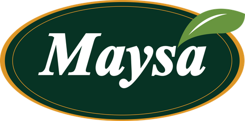MaySa LoGo.png