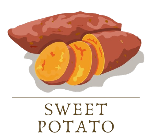 sweet potato isolated on the white background illustration logo or banner vector removebg preview (1.png