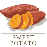 sweet potato isolated on the white background illustration logo or banner vector removebg preview (1