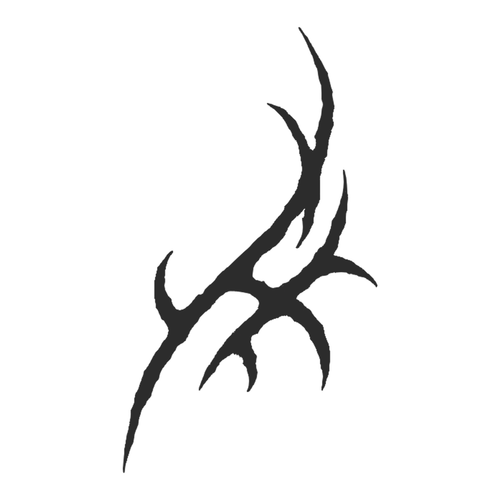 IMG 2409.png