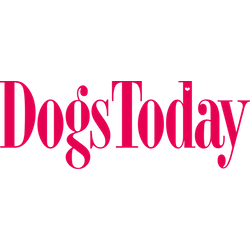 white DT logo 2016 NEW.png