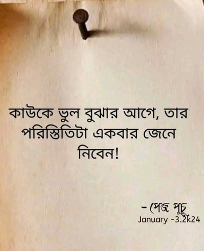 1704434192997.jpg