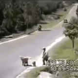 GIF 240107 123521.gif