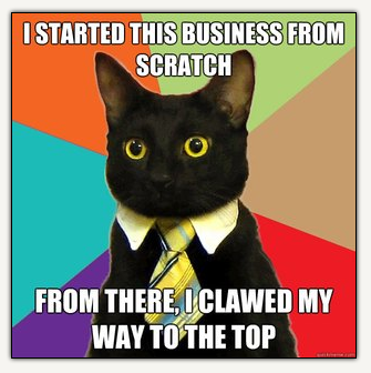 businesscat1.png