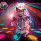 best tapiture49.gif