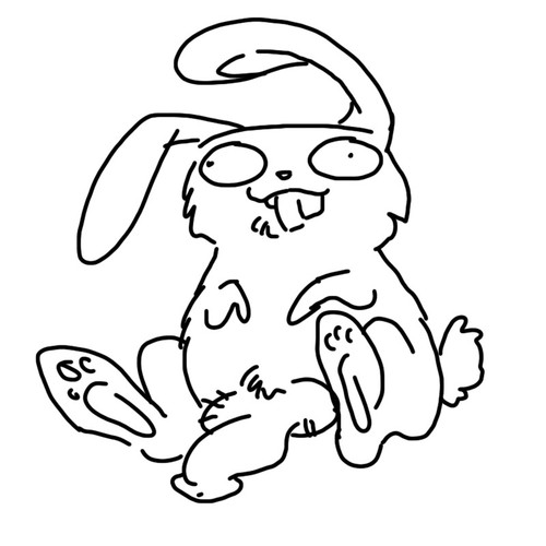 bunny.jpg