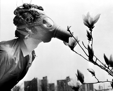 090421 01 earth day gas mask big thumb 500x400.jpg