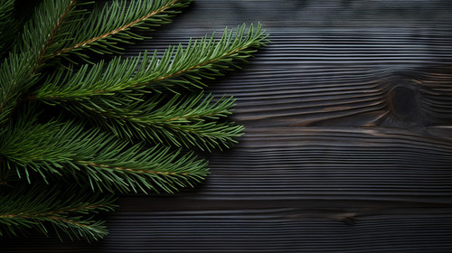 Spruce branch on a wooden background 00523 01.jpg