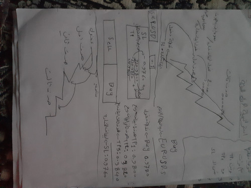 ٢٠٢٤٠١٠٦ ١٧١٧٠١.jpg