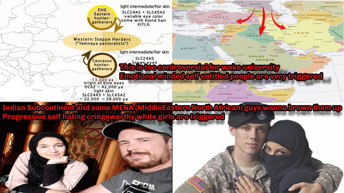 BviMGlP.jpg