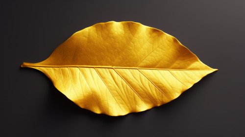 Shiny yellow leaf gold foil texture 00501 03.jpg