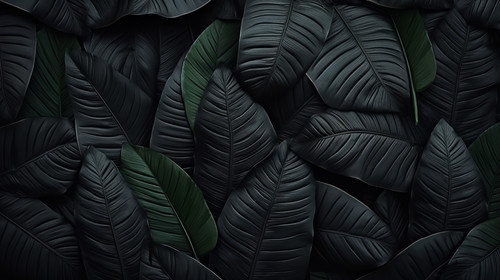 Textures of abstract black leaves for tropical leaf background Flat lay dark nature concept tropical.jpg