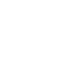 logo irs main.png