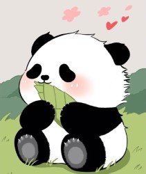 panda 副本.jpg