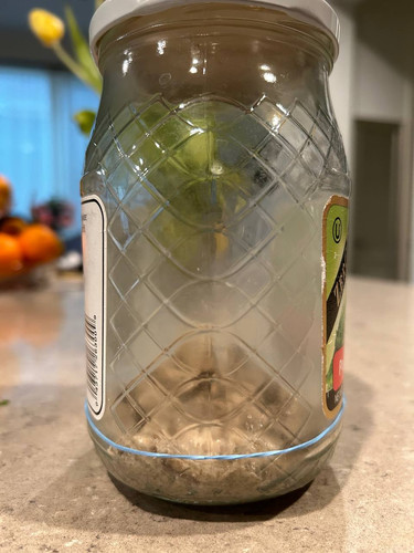1704939603 387745583.jpg