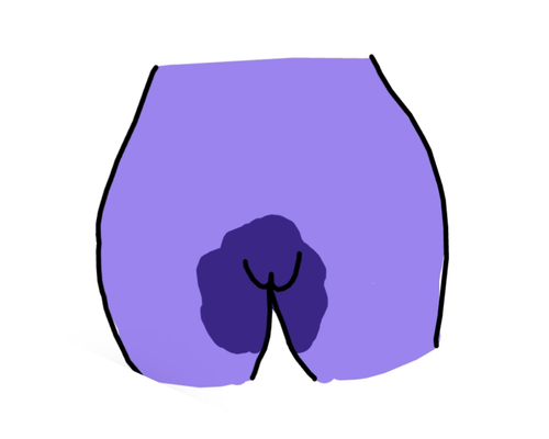 1000033451.png