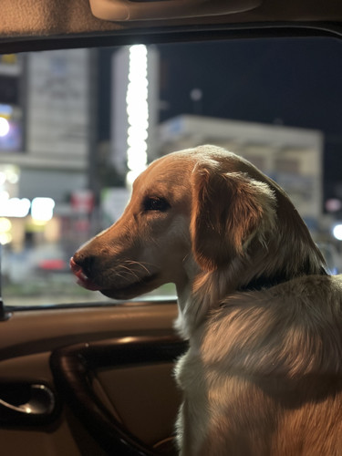 D040E362 B9A3 4B08 8795 A7059593C718.jpg