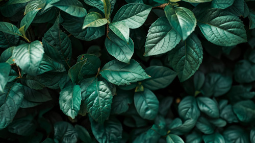 minimalistic less is more style of a close up of a wallpaper with green leaves on it ar 169 00001 03.jpg