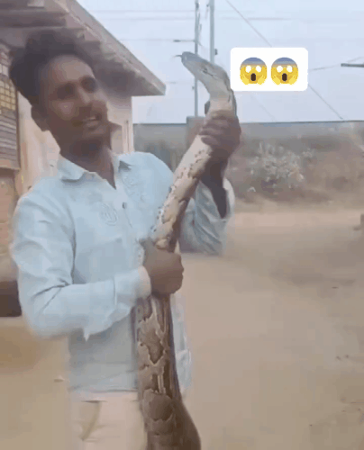 GIF 240111 161554.gif