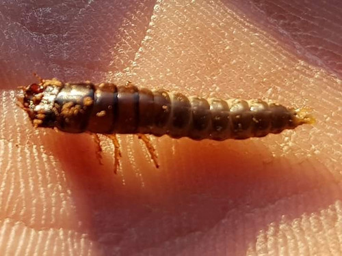 images%2Fimage 1704959937188.jpg