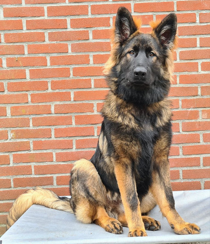 f697fcfd ae5c 463e a942 eee49e278a87.jpg