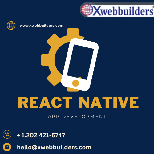 Innovative Solutions: Your Go-To React Native App Development Company.png