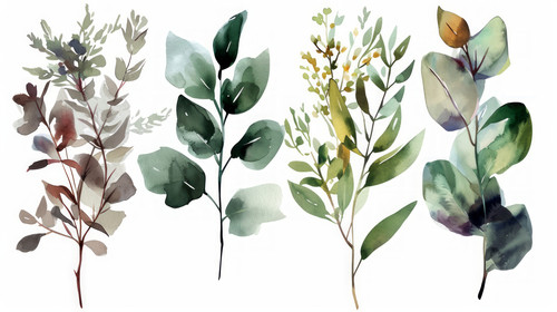 minimalistic less is more style of Watercolor floral illustration set flower and green leaf branches.jpg
