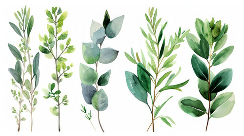 minimalistic less is more style of Watercolor floral illustration set green leaf branches collection.jpg