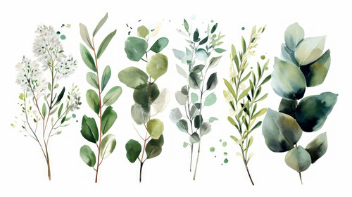 minimalistic less is more style of Watercolor floral illustration set flower and green leaf branches.jpg