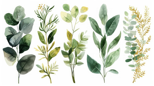 minimalistic less is more style of Watercolor floral illustration set green gold leaf branches colle.jpg