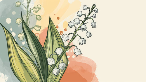 minimalistic less is more style of Cute hand drawn isolated grey outline with color plane of lily of.jpg