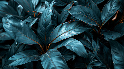 minimalistic less is more style of Textures of abstract black leaves for tropical leaf background Fl.jpg