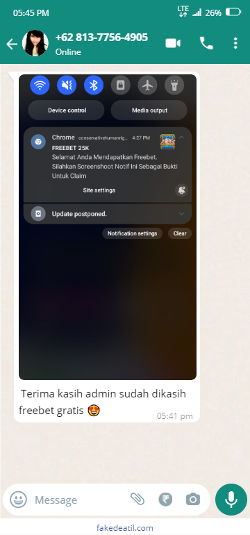 whatsapp chat (5).png