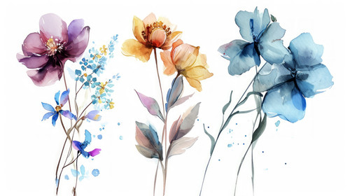 minimalistic less is more style of Flowers watercolor illustrationManual compositionBig Set watercol.jpg