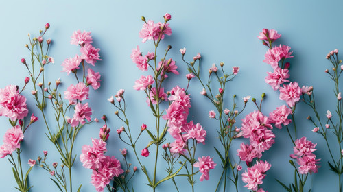 minimalistic less is more style of Flat lay creative illustration concept of fresh field Spring flow.jpg