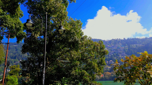 IMG 20221016 095659 376.jpg