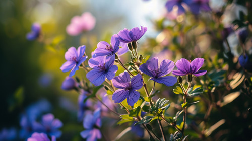 minimalistic less is more style of beauty natural macro background vibrant illustration plant nature.jpg