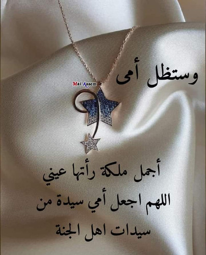 images%2Fimage 1704625652951.jpg