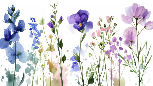 minimalistic less is more style of element illustration flax Isolated set background Watercolor flow.jpg