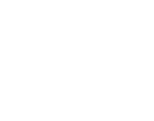 map icon.png