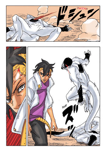 1 c2 1 zon (8).png